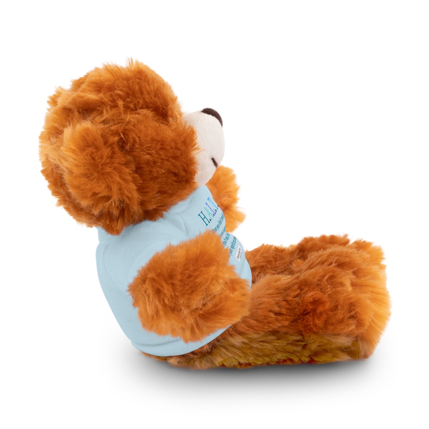 Stuffed Animals with Tee